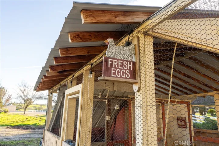 Large Chicken Coop