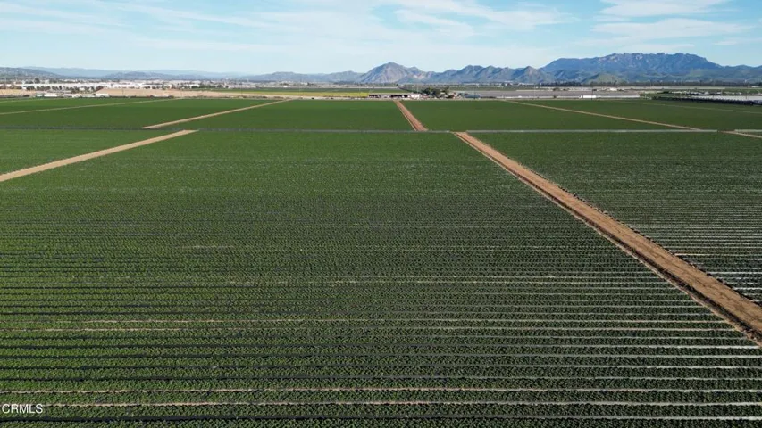 DJI_0843.00_01_53_22.Still005