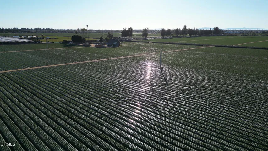 DJI_0843.00_03_27_26.Still010 (1)