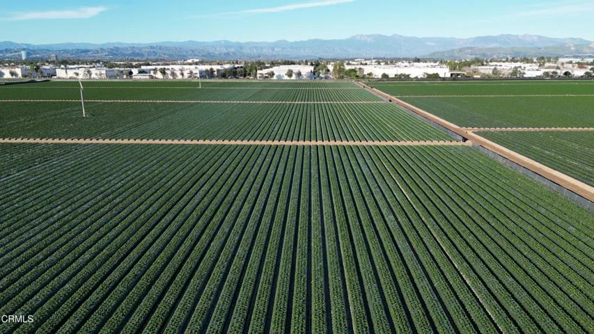 DJI_0843.00_03_08_11.Still006