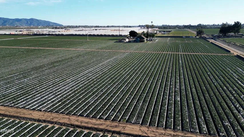 DJI_0843.00_02_02_01.Still003