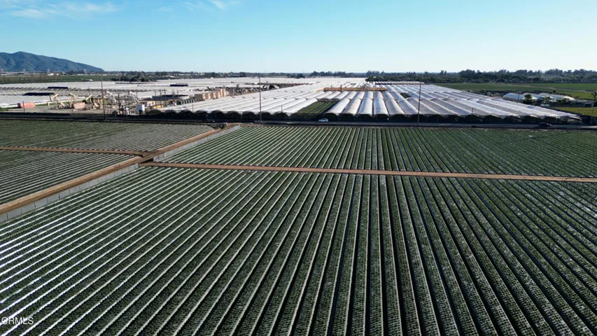 DJI_0843.00_04_24_19.Still016