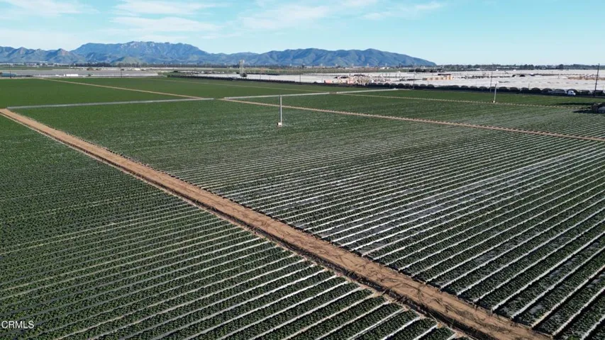 DJI_0843.00_01_58_07.Still004