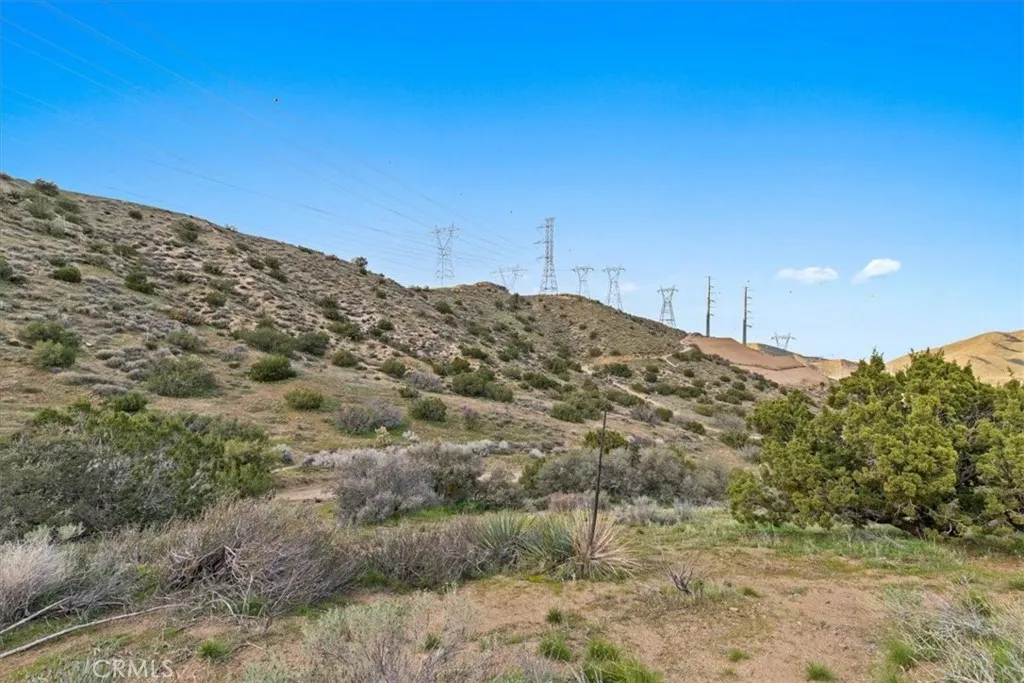 32301 Angeles Forest, Palmdale, California 93550 home-pic-21