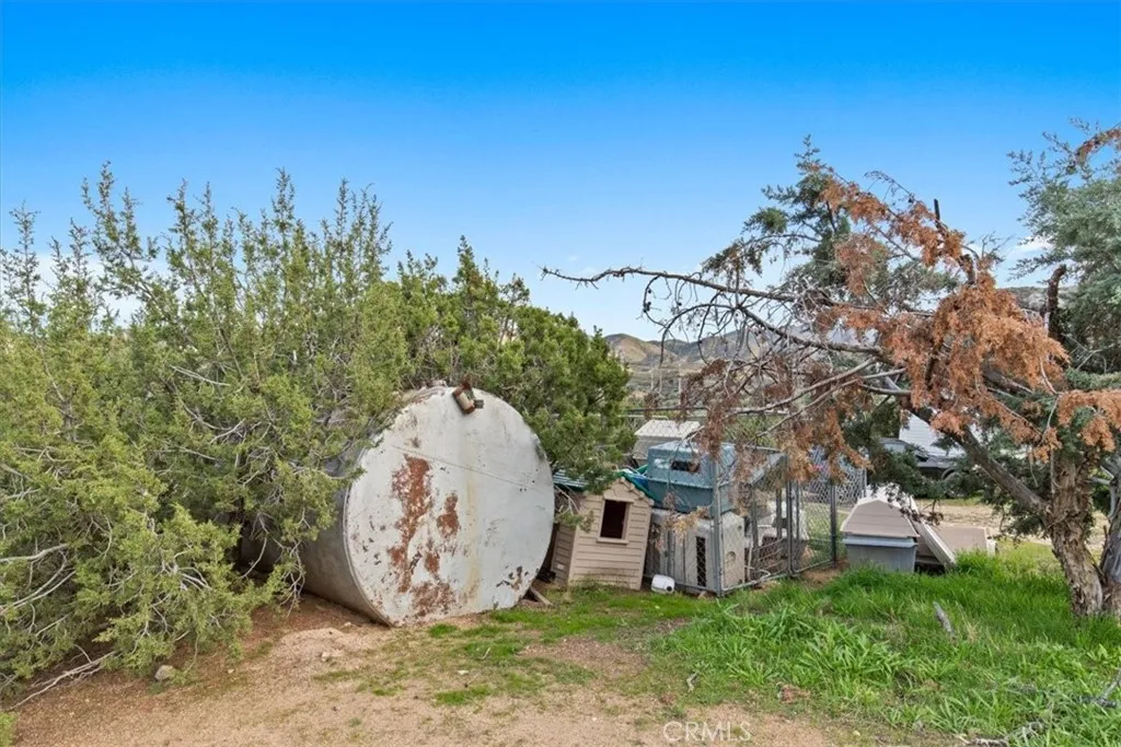 32301 Angeles Forest, Palmdale, California 93550 home-pic-15