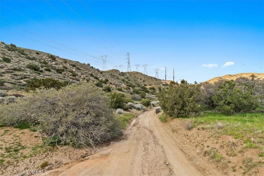 32301 Angeles Forest, Palmdale, California 93550 home-pic-20