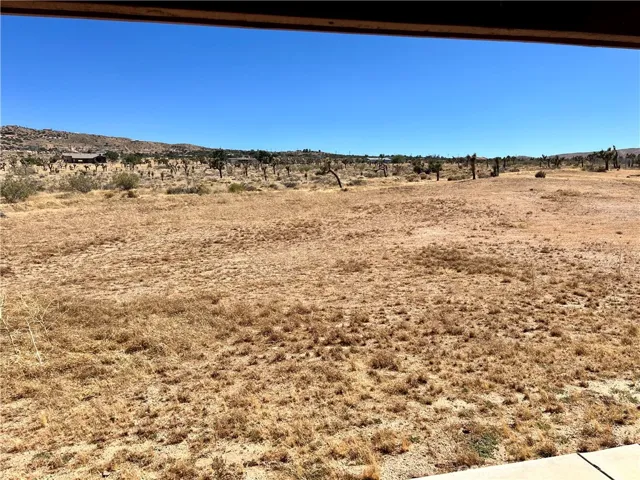 View from the back porch.