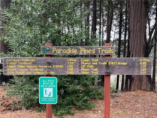Paradise Pines Trails
