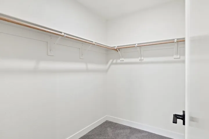 Spacious closet featuring carpet flooring