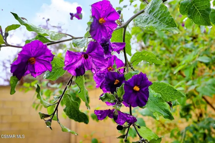 20241229023910555101000000-o