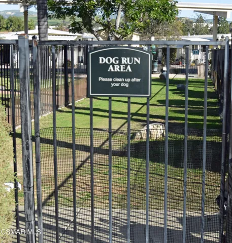 Dog Run