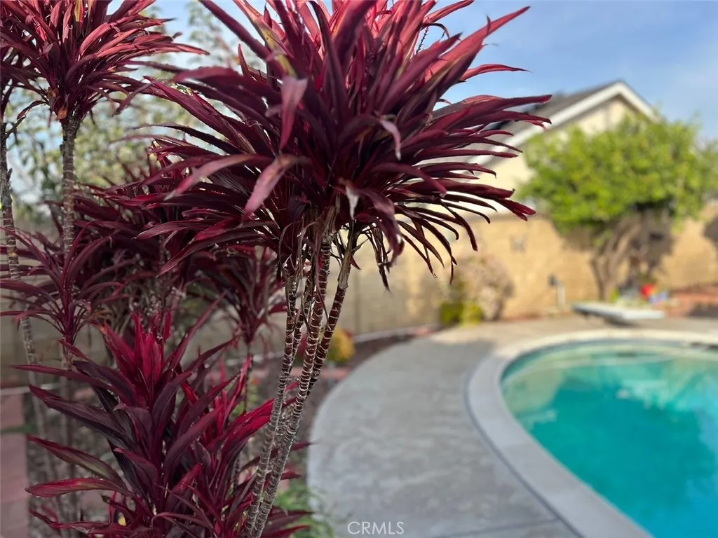 6849 Whitman Drive, Buena Park, California 90620 home-pic-0