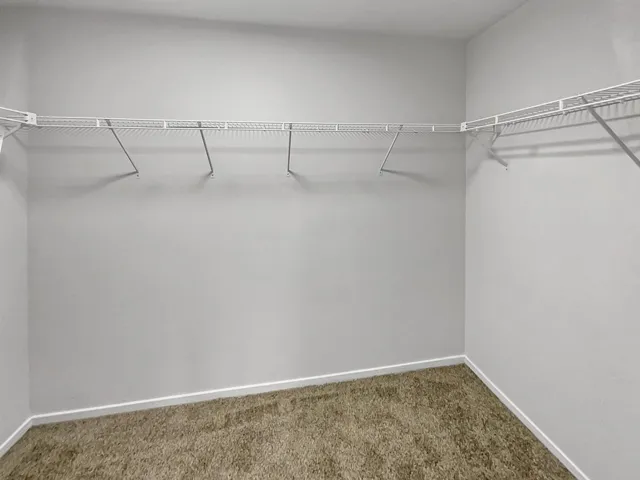 Spacious closet featuring carpet flooring