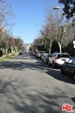 Beautiful Tree Lined Street