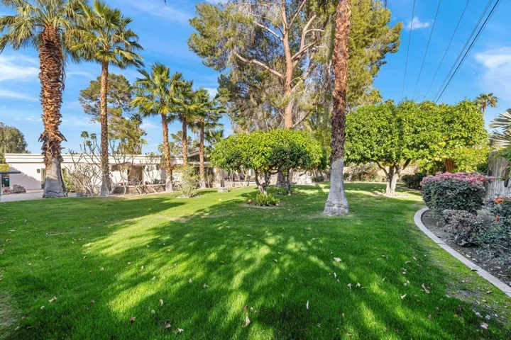 80-web-or-mls-8M4A3753