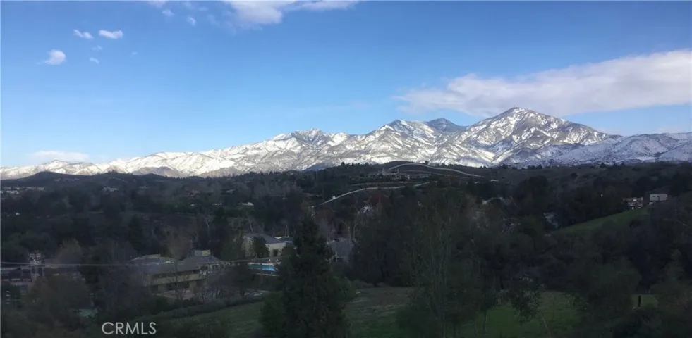WINTER VIEW