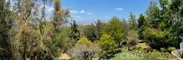 PANORAMIC VIEW