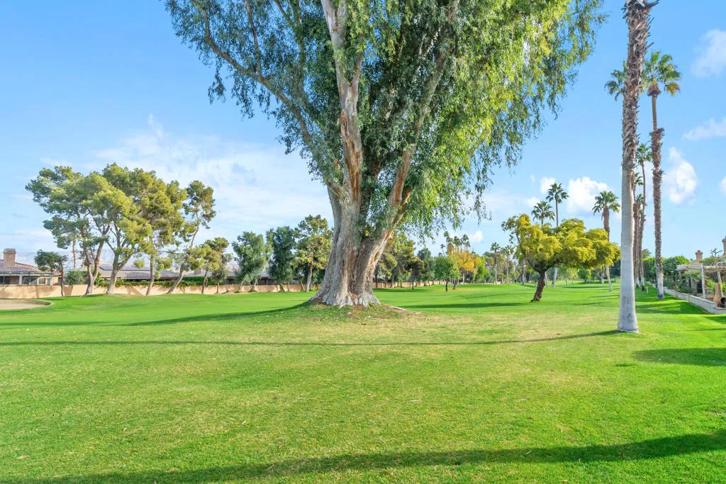 77620 Woodhaven Drive N, Palm Desert, California 92211 home-pic-19