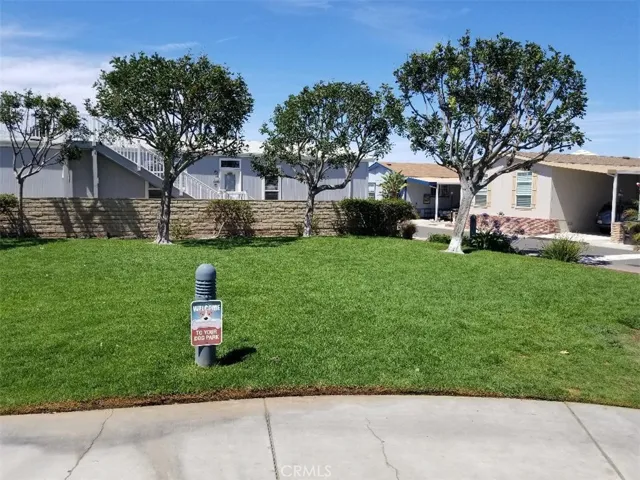 Dog park