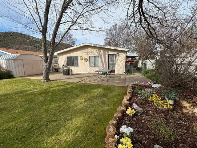 Backyard Sanctuary!