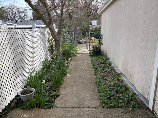 Walkway to backyard.