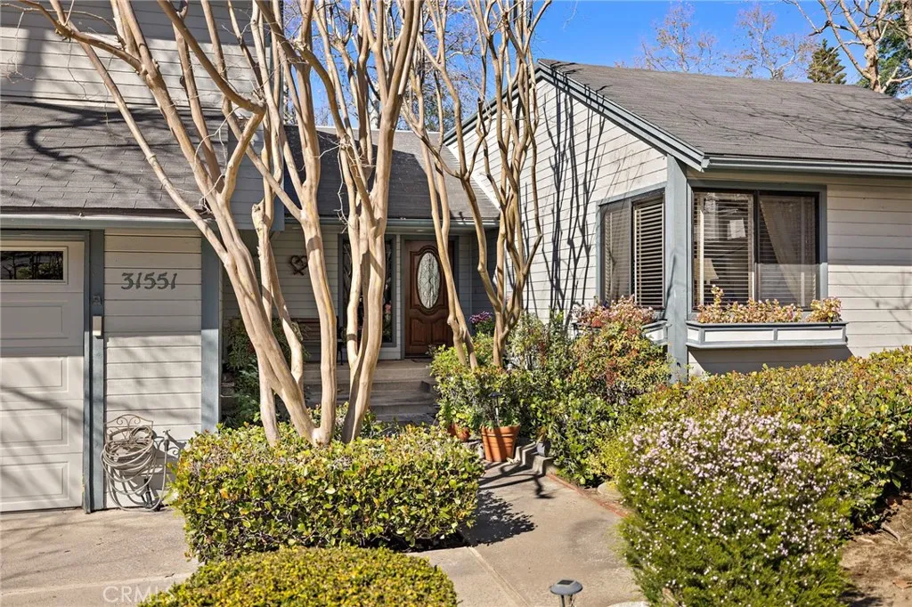 31551 Via Coyote, Coto De Caza, California 92679 home-pic-4