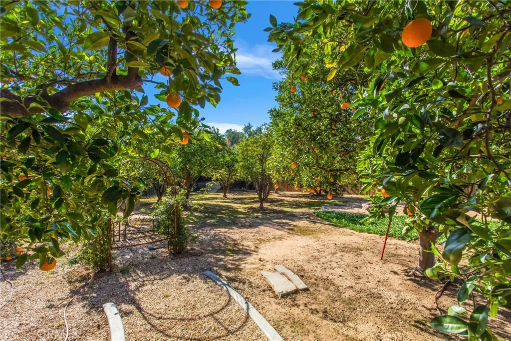 1374 Prospect Drive, Redlands, California 92373 home-pic-31