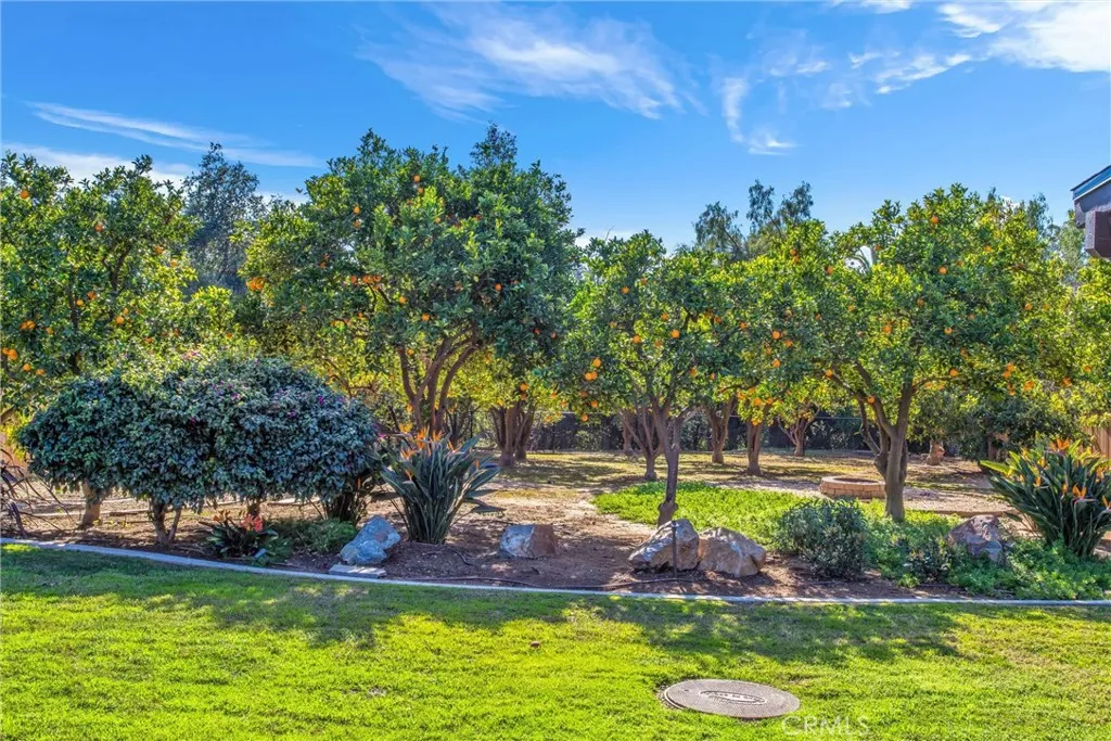1374 Prospect Drive, Redlands, California 92373 home-pic-28