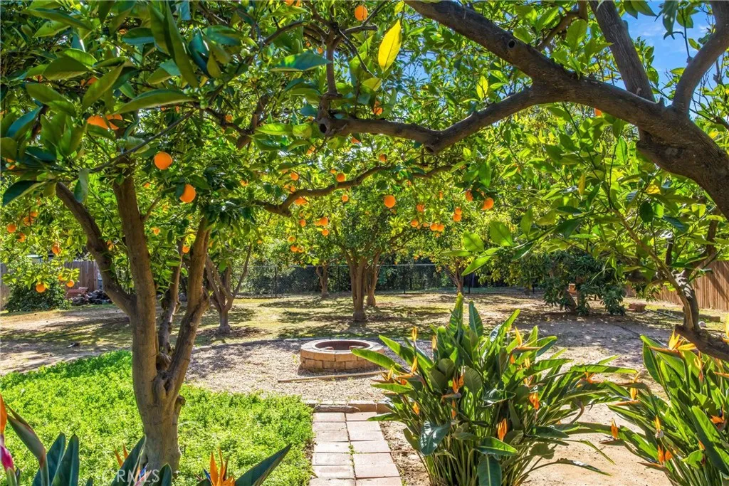 1374 Prospect Drive, Redlands, California 92373 home-pic-32
