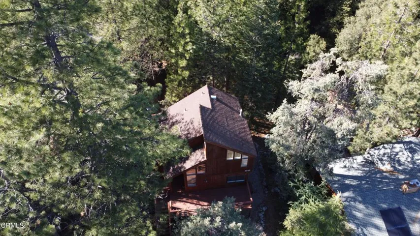 DJI_0041