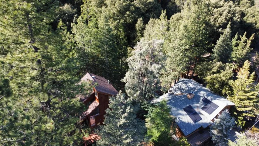 dji_fly_20260131_133024_34_1769895383742