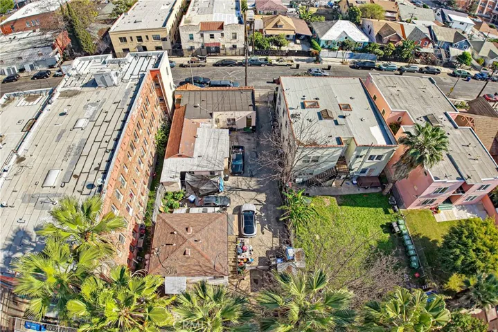 lined with palm trees in back