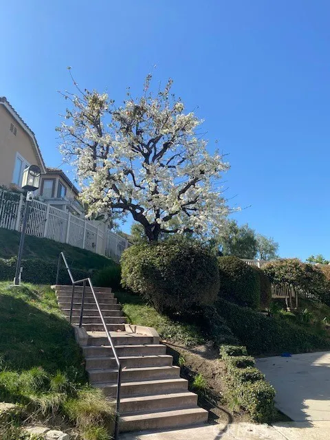 1129 W Capitol Drive 27, San Pedro, California 90732 home-pic-26