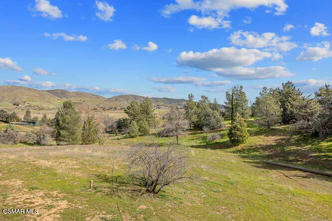 39860 86th St W Leona Valley-small-017-0