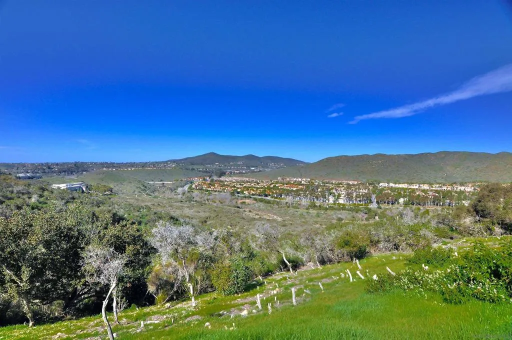 11072 Ivy Hill Dr., San Diego, California 92131 home-pic-37