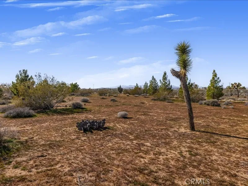 60208 Aberdeen, Joshua Tree, California 92252 home-pic-38