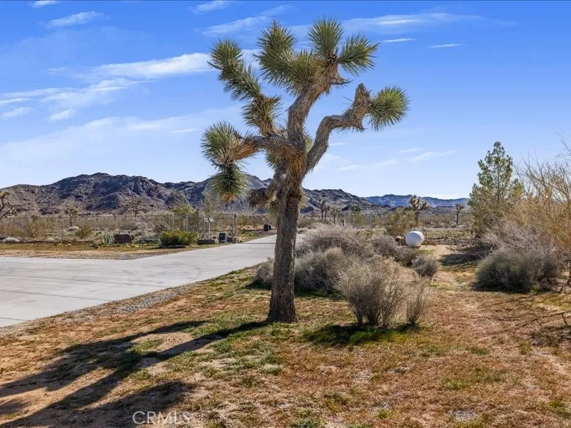 60208 Aberdeen, Joshua Tree, California 92252 home-pic-40