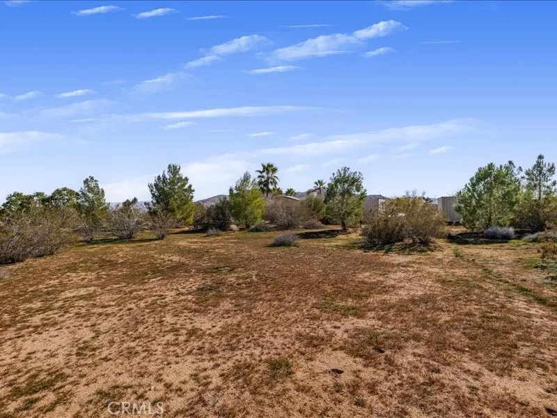60208 Aberdeen, Joshua Tree, California 92252 home-pic-39