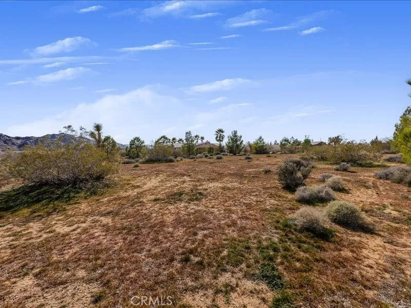 60208 Aberdeen, Joshua Tree, California 92252 home-pic-41