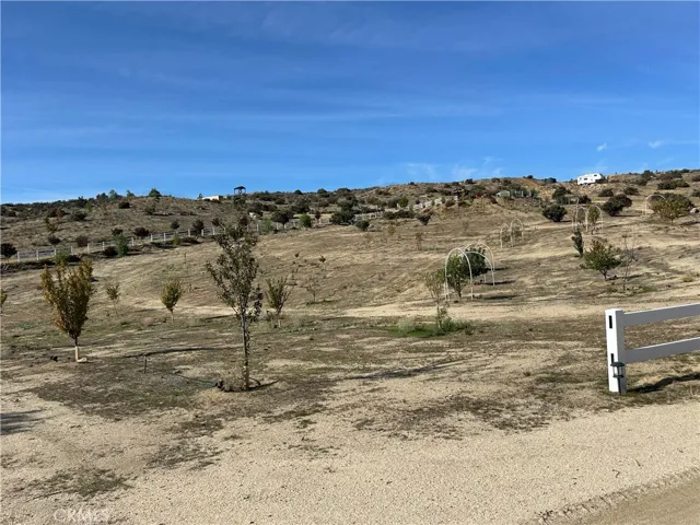 NW Facing of Mid Orchard