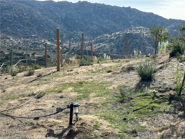 S Facing of Table Grape Vineyard