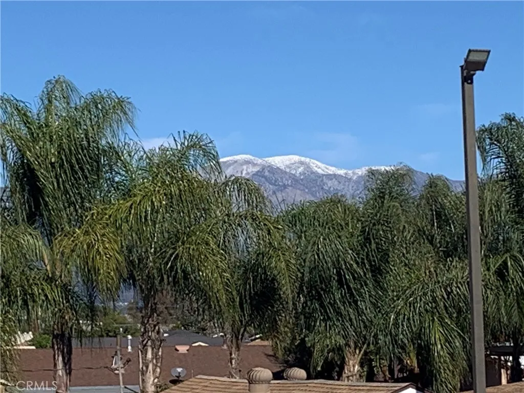 Snowcapped View from upper offices!