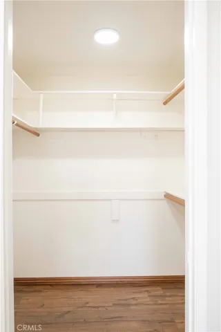 walk in closet in master bedroom