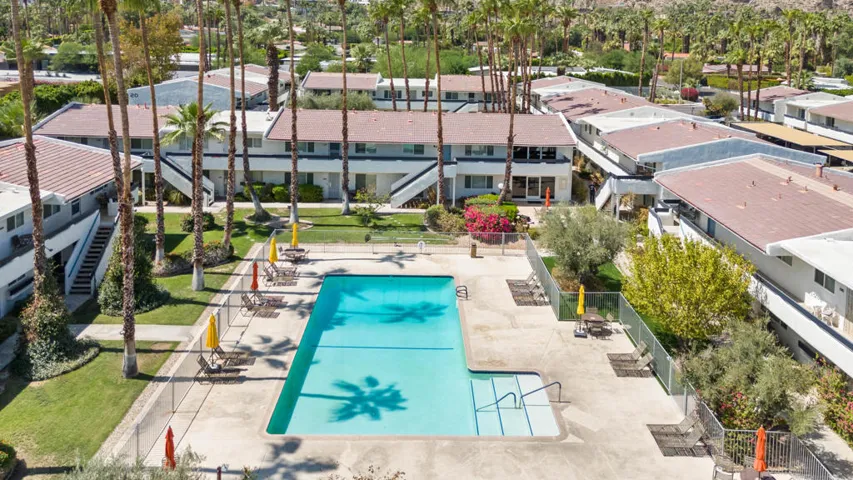 Palm Canyon 1950 pool photo