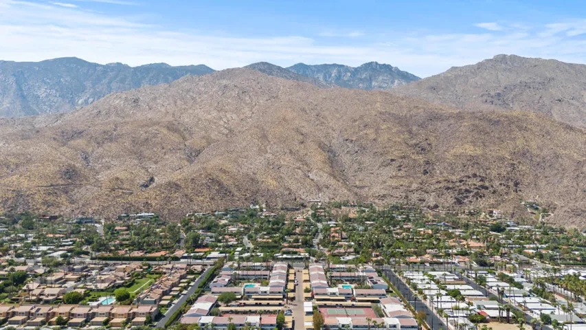 Palm Canyon 1950  views