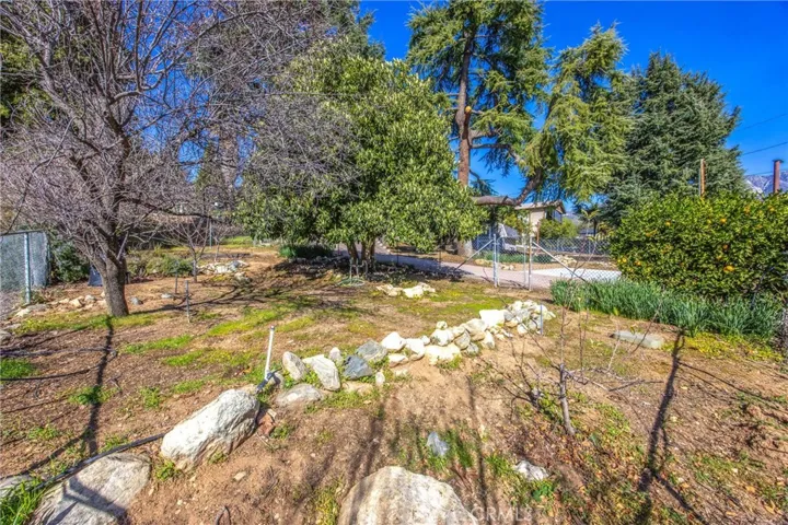 Fruit trees, Pine trees and shade trees.