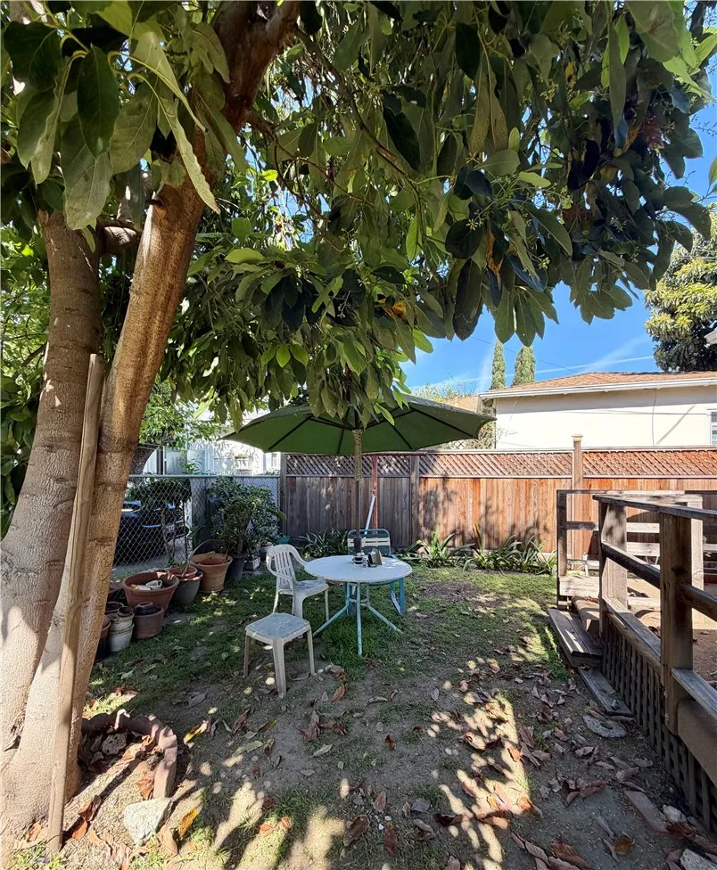 4064 Back yard