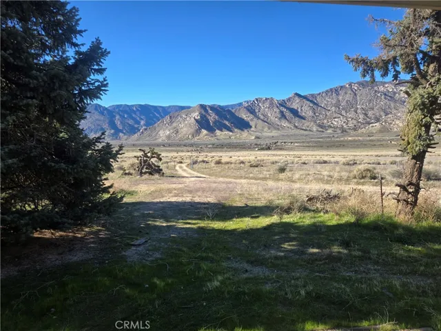 View From Garage