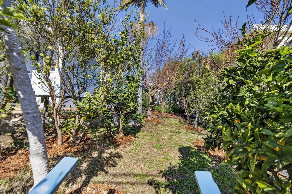 229 W Canada, San Clemente, California 92672 home-pic-25