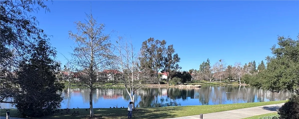 Gorgeous forever views!